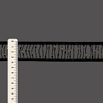 BALL LADDER LACE 3,8cm BLACK/GOLD 30m