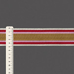 ELASTIC PLEATED STRIPED 4,8cm CHAMPAGNE/MAGENTA/PINK/BEIGE 25m / ELÁSTICO PLISADO RAYADO 4,8cm CHAMPÁN/MAGENTA/ROSA/BEIGE 25m