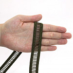 LADDER LACE ELASTIC 1,8cm MOSS GREEN 50m